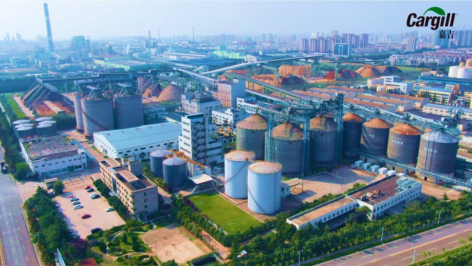 嘉吉日照粮油加工厂厂区俯瞰：筒仓群与输送栈桥